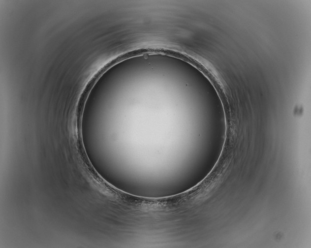 X0000097470887200802221233