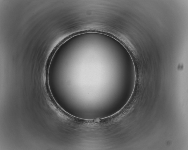 X0000097470888200802221233