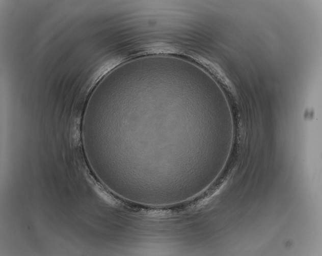 X0000097470889200802221233