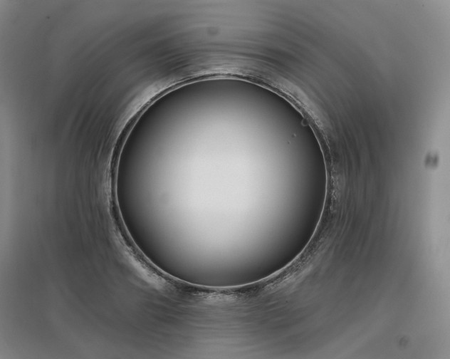 X0000097470890200802221233