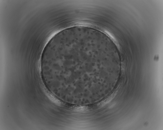 X0000097470891200802221233