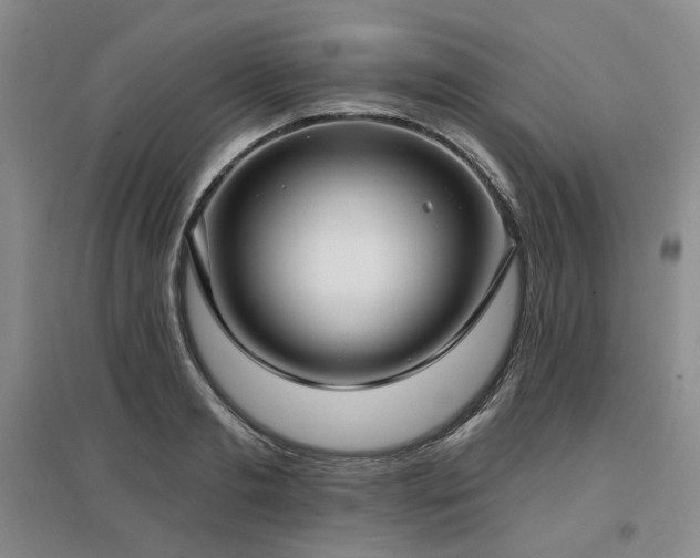 X0000097470893200802221233
