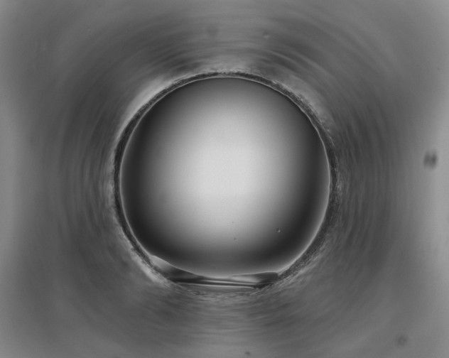 X0000097470894200802221233