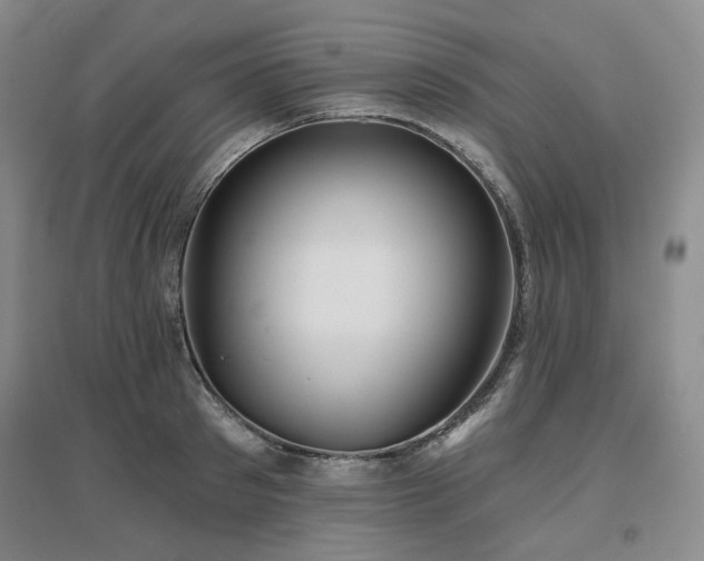 X0000097470897200802221233