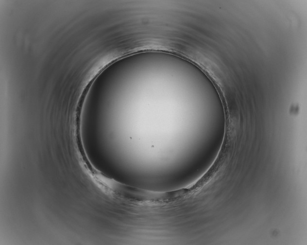 X0000097470898200802221233