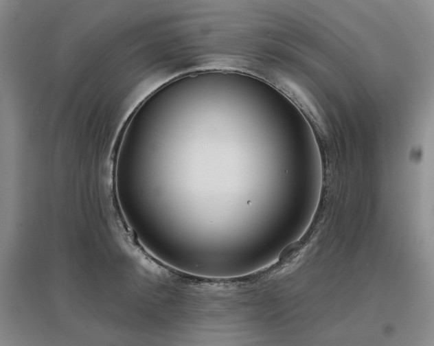 X0000097470900200802221233