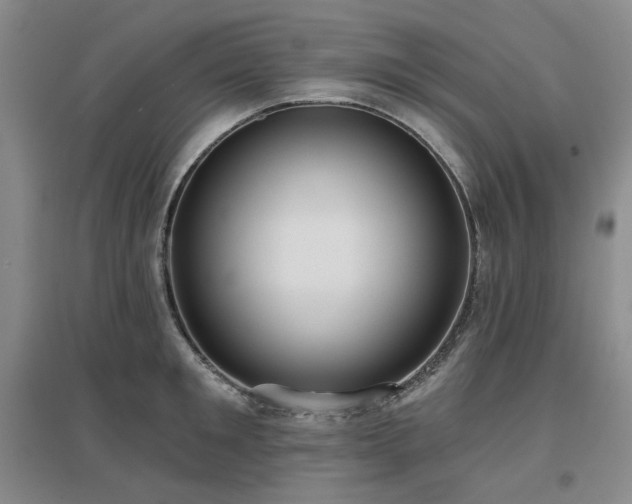 X0000097470901200802221233