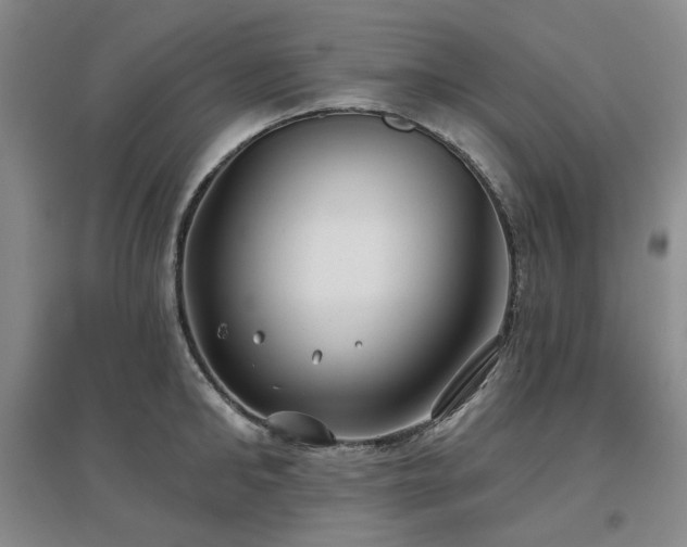 X0000097470902200802221233
