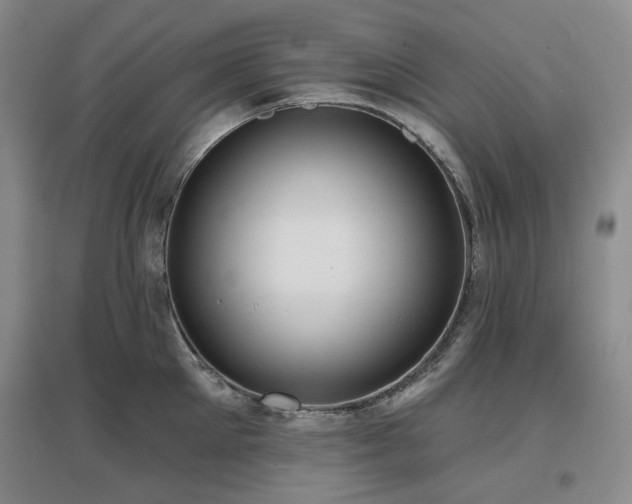 X0000097470905200802221233