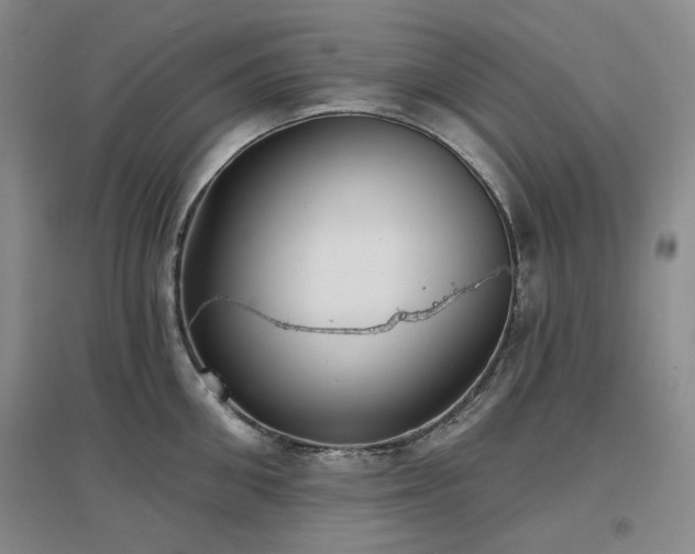 X0000097470906200802221233