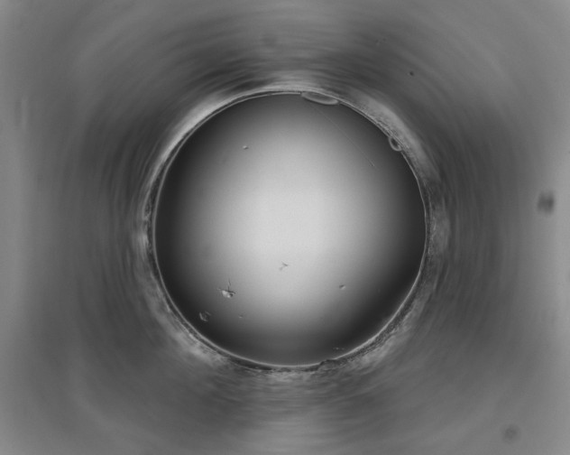 X0000097470908200802221233