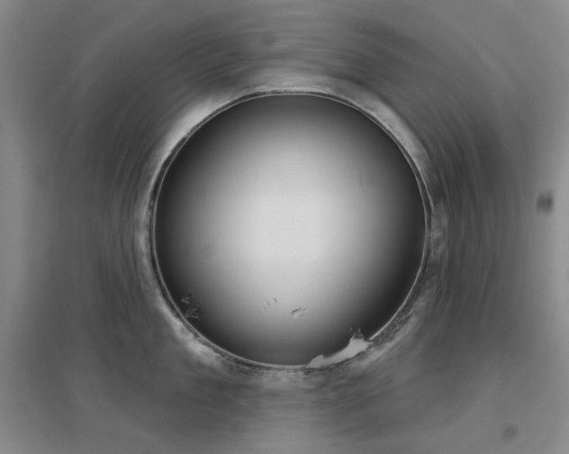 X0000097470909200802221233