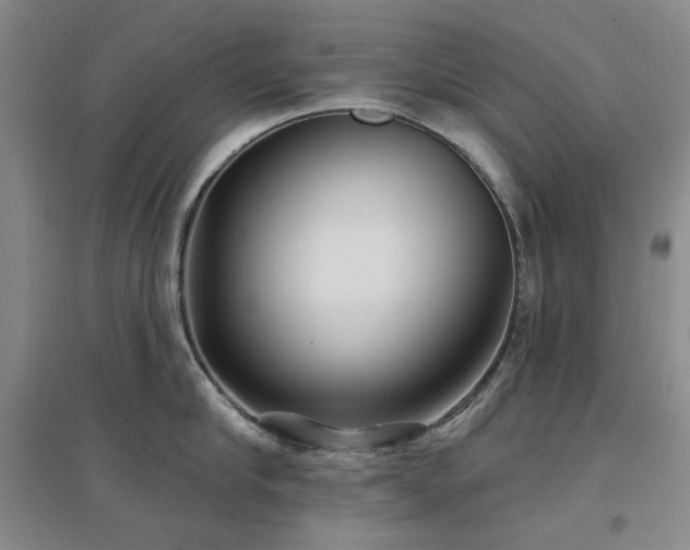 X0000097470910200802221233
