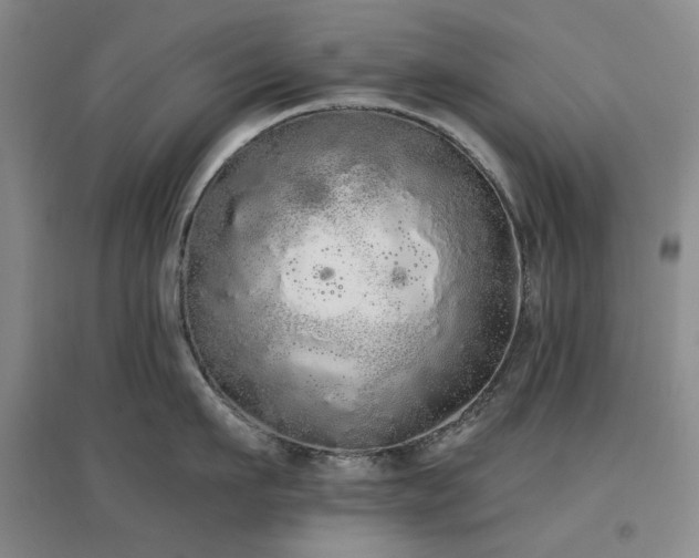 X0000097470911200802221233