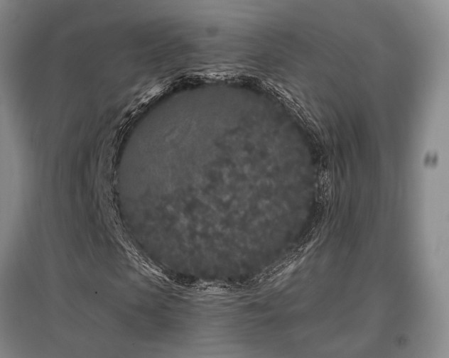 X0000097470913200802221232