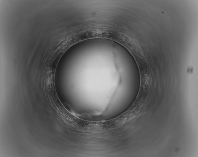 X0000097470914200802221232