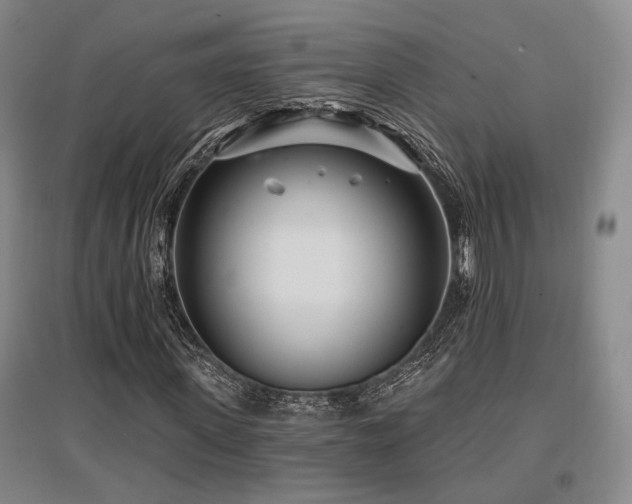 X0000097470915200802221232