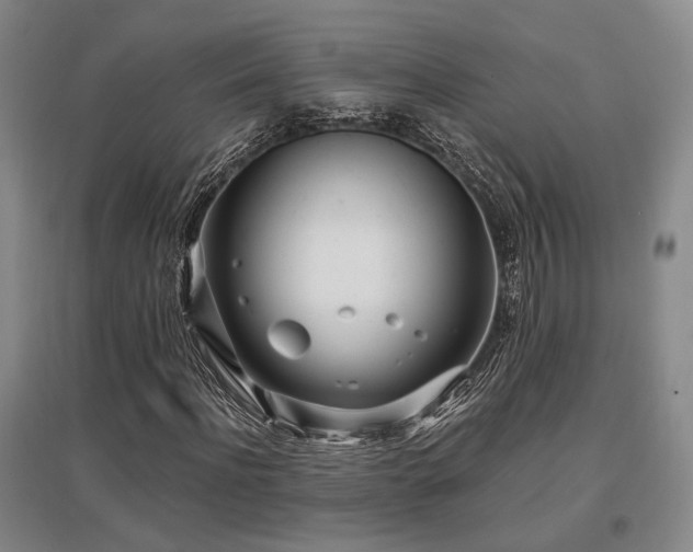 X0000097470916200802221232
