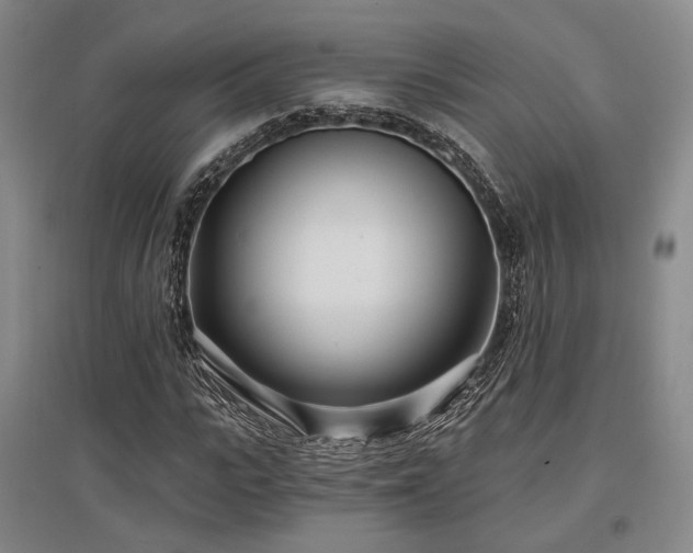 X0000097470919200802221232