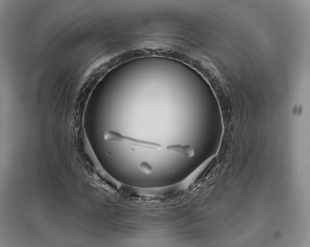 X0000097470920200802221232