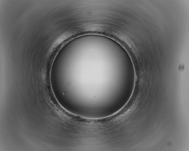 X0000097470922200802221232