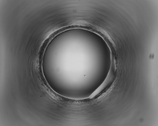 X0000097470923200802221232
