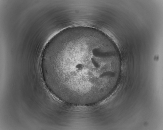X0000097470925200802221232