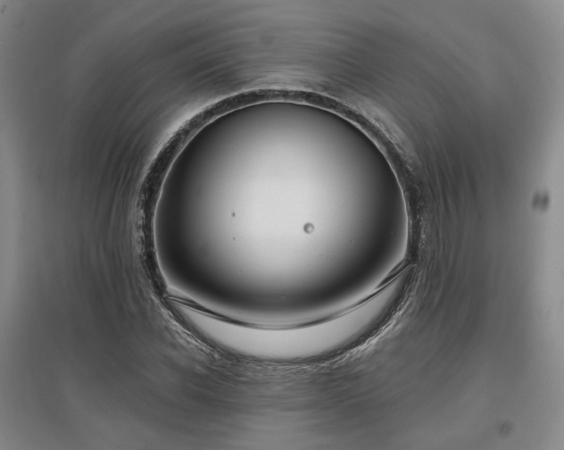 X0000097470926200802221232