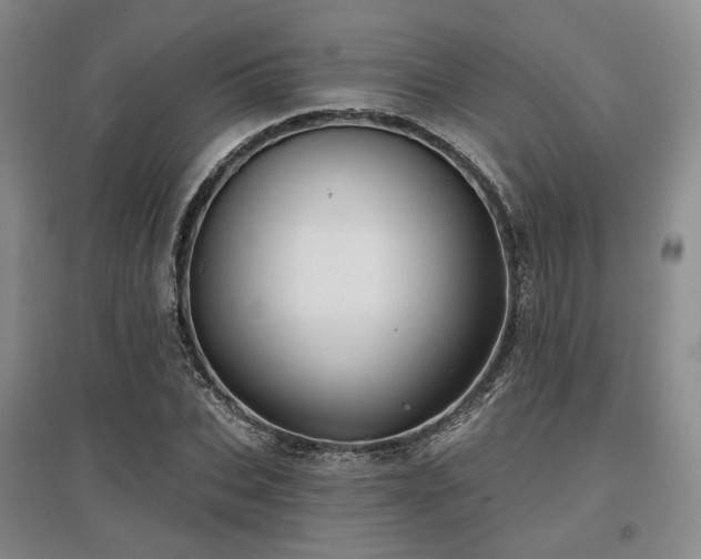 X0000097470927200802221232