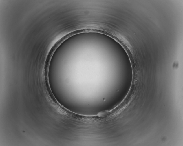 X0000097470928200802221232