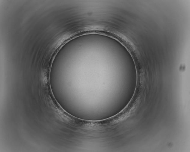 X0000097470929200802221232