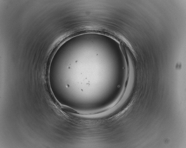 X0000097470930200802221232