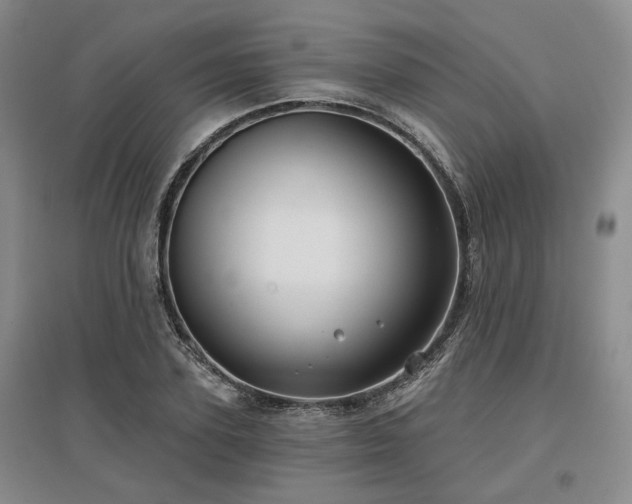 X0000097470931200802221232