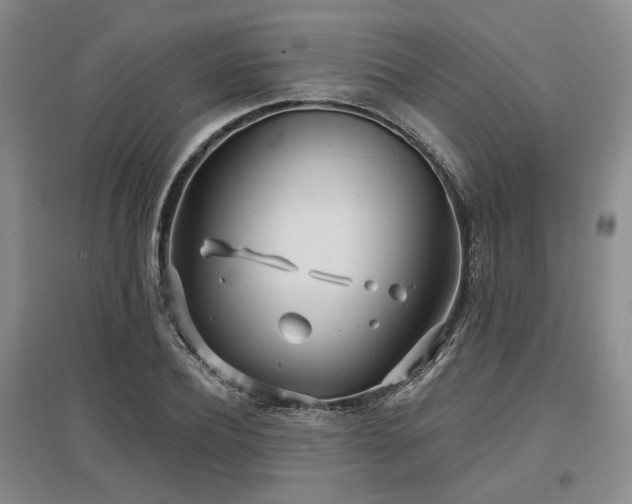 X0000097470932200802221232