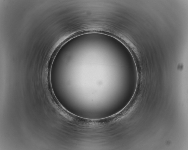 X0000097470933200802221232