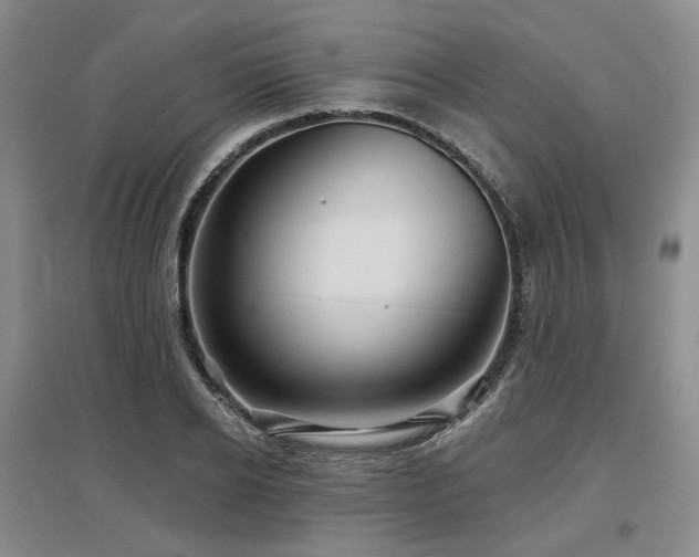 X0000097470934200802221232