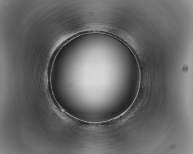 X0000097470936200802221232