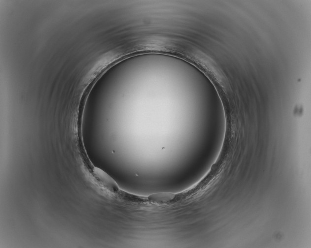 X0000097470938200802221232