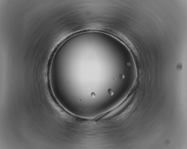 X0000097470939200802221232
