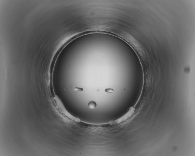 X0000097470940200802221232