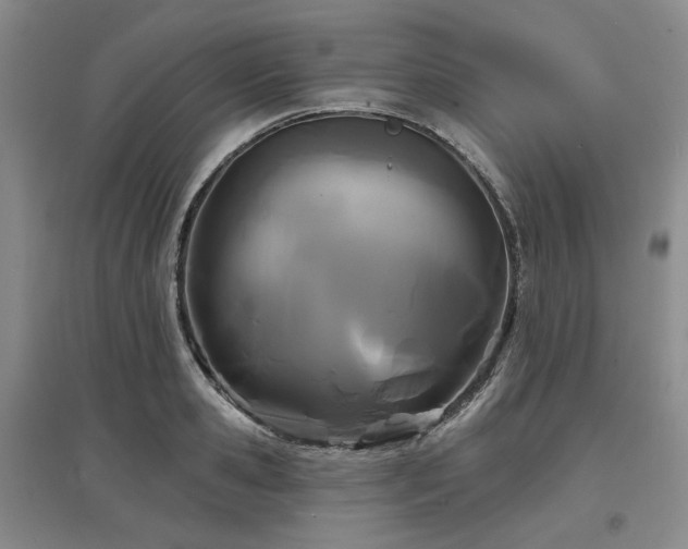 X0000097470941200802221232