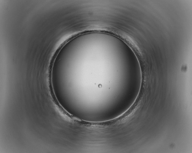 X0000097470942200802221232