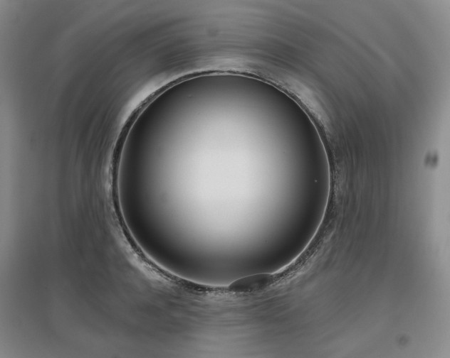 X0000097470944200802221233