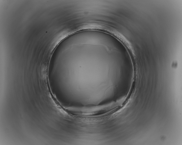 X0000097470945200802221233