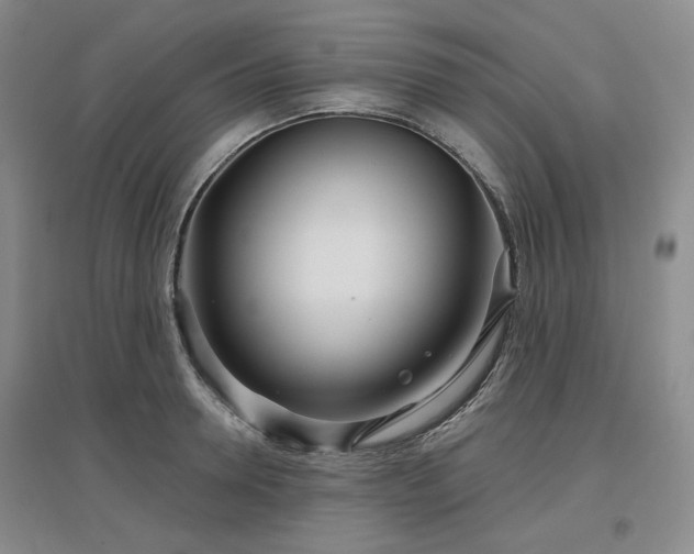X0000097470946200802221233