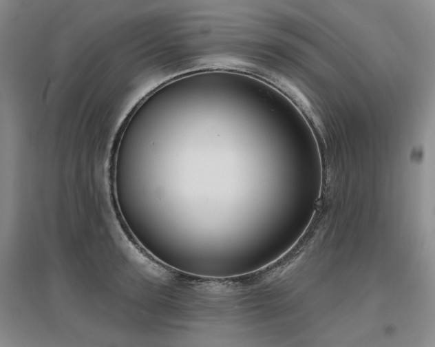 X0000097470947200802221233