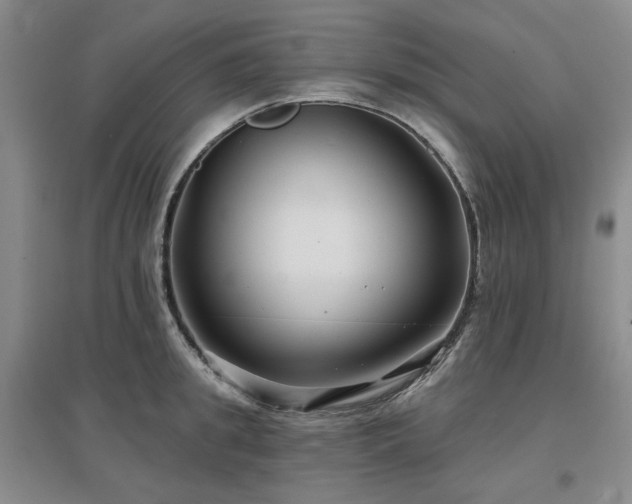 X0000097470949200802221233