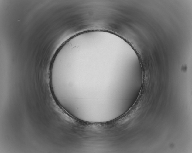 X0000097470950200802221233