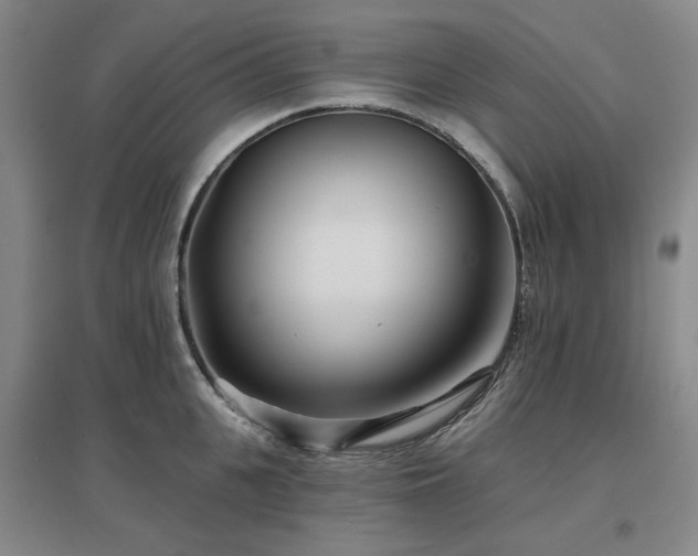 X0000097470951200802221233