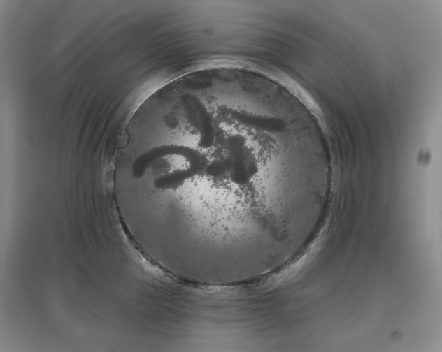 X0000097470953200802221233